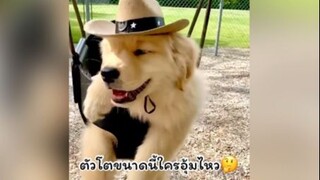 โตเกินวัยเลยนะะ