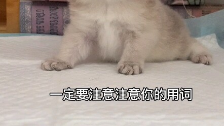 These four characters are actually pretty hard to shout out.