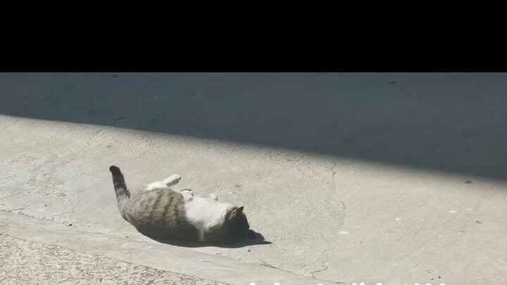 Hari disiplin diri untuk siswa kelas akhir. Semoga aku tidak menyeretmu ke dalamnya.