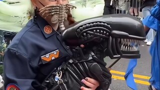 Selamat datang di Parade Halloween Anjing di New York! 🐶👻