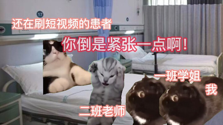 【猫meme】外科实习的惊吓瞬间