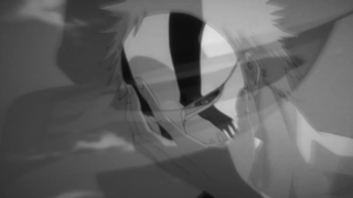 Bleach AMV_ Disguise