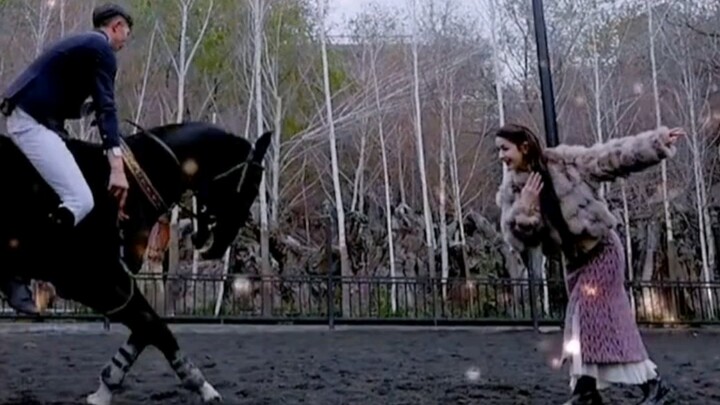 อัศวินกับเจ้าหญิง