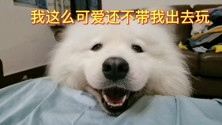 แทบไม่เชื่อว่าบนโลกนี้จะมีสิ่งมีชีวิตที่น่ารักขนาดนี้!