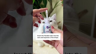 How to Clean Cats Ears With This Trick!