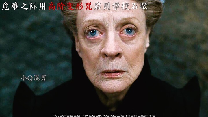 欣赏来自格兰芬多院长，麦格教授的高光瞬间