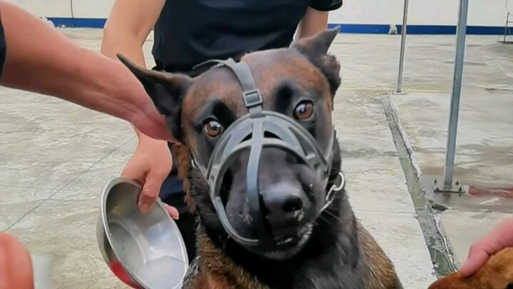 แช่ยาให้อันหนานยากจริงๆ…