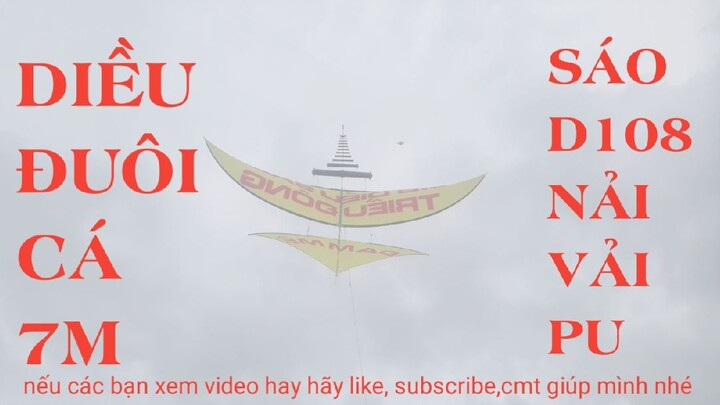 THẮNG NGUYỄN MEDIA | DIỀU SÁO ĐUÔI CÁ 7M