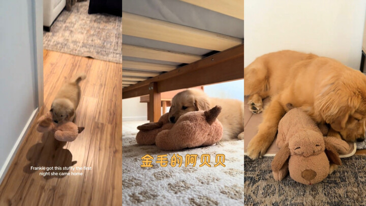 aww🥺
