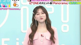 IZONE - Panorama