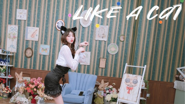 Benarkah hanya anak kucing dengan layar vertikal yang akan diadopsi? 【AOA-Like A Cat Versi Layar Ver