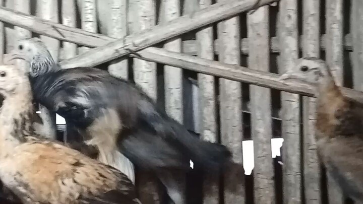 new born