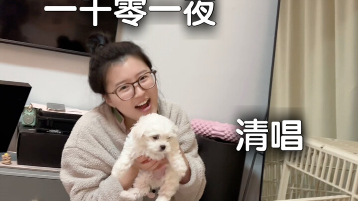 The pup just got home—let me sing her “One Thousand and One Nights” to help her get used to my const