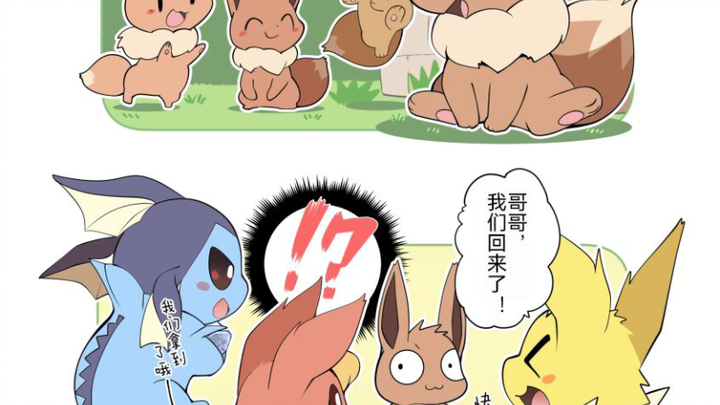 伊布的奇妙进化