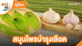 สมุนไพรบำรุงเลือด | รู้สู้โรค