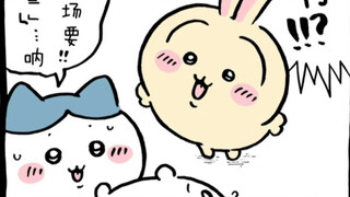 吉伊真正的模考成绩！