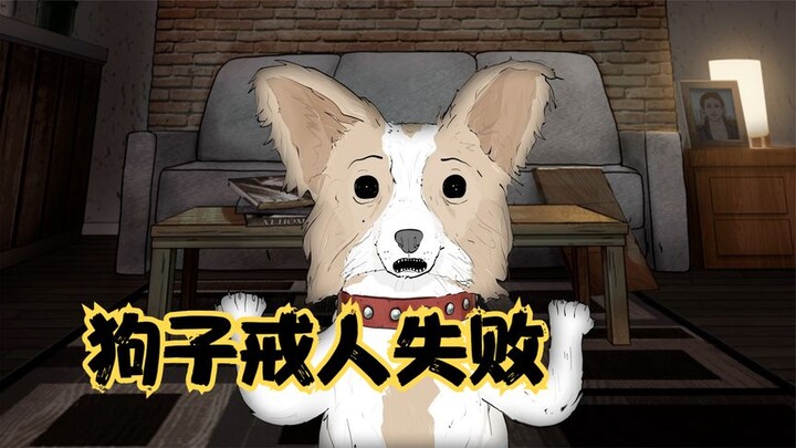 New York Floating Records: After successfully quitting humans for two and a half years, the dog stil