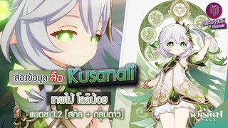 Genshin Impact : ส่องข้อมูล Nahida เทพไม้ โลลิน้อย ✦ สกิล + กลุ่มดาว [Patch 3.2]