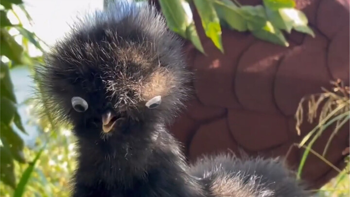 هناك سؤال بسيط.