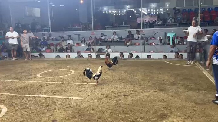 3rd fight loss binan