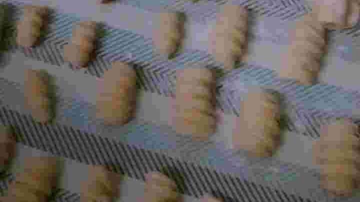 ย็อกกี้