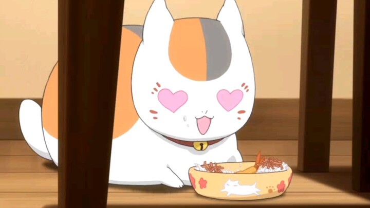 This is a pig, why do some people think it is a cat?