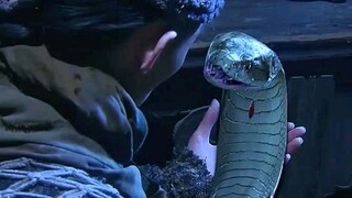 #我是追剧小达人#电影解说#爽剧推荐