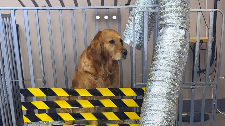 The barbecue is mine, but the flavor is yours.