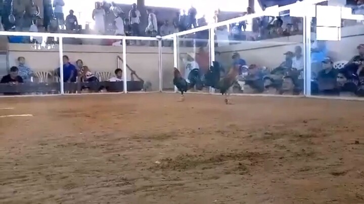 second win day champ, passi city cockpit