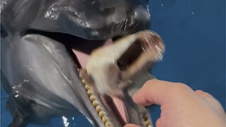 Jasmine has monolids!