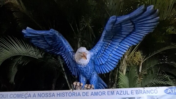 ARUC #brasilia #samba #bateria #carnaval #cruzeiro #dance #brazil #viral #trending #2024 #parade