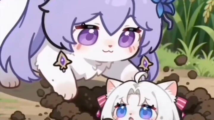 Have you ever saved a Kael cat in Honkai: Star Rail?