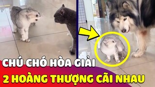 Chú Chó làm TRƯỞNG BAN HÒA GIẢI, 2 Hoàng Thượng đang COMBAT CỰC CĂNG cững phải dừng lại 😎 Gâu Đần