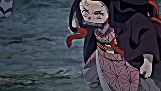 nezuko udah kek Tsubasa