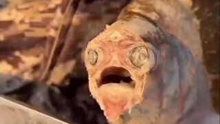 ปลาที่ถูกแช่แข็งจนสุก ยังถือว่า "ดิบ" อยู่หรือไม่? 28.10