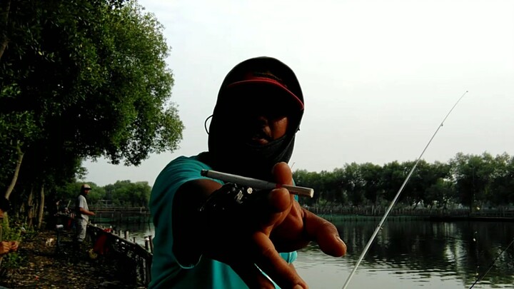 opening terbaru DUMUNG GACOR