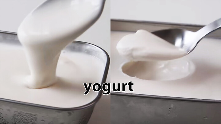 Home-made yogurt