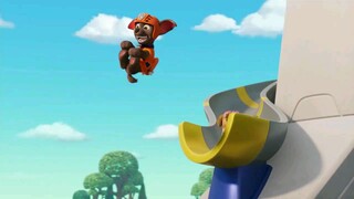 Paw patrol musim  11 Episode 21 original