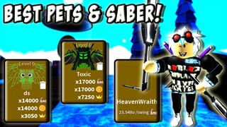 GOT THE MOON PET AND DOUBLE MOON PET IN SABER SIMULATOR LATEST UPDATE