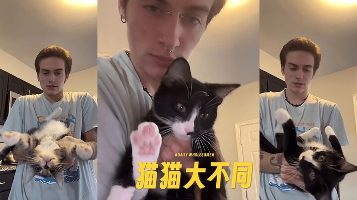 Ada dua jenis kucing yang berbeda di dunia 🐱