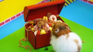 ภารกิจของหนูแฮมสเตอร์ EP 102