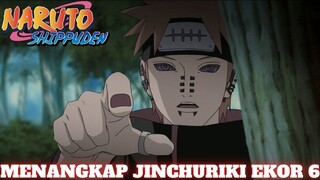 pain memburu utakata Jinchuriki ekor 6 !