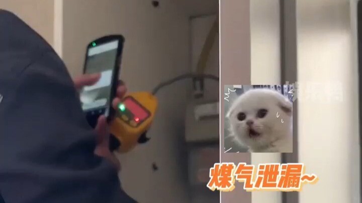 لا أخاف من الأشرار الذين يجهدون عقولهم، بل أخاف من الأغبياء الذين يبتكرون فجأة فكرة خطرة! (cr@Y تربي