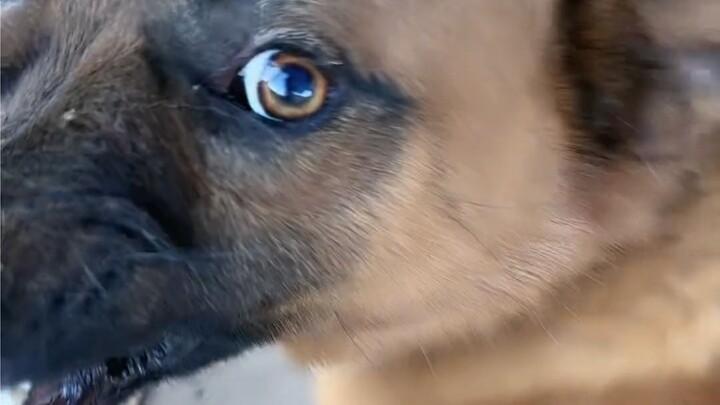 Day three after being bitten by a dog—my family still treats me like this. Do I really have no choic