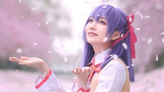 Sakura, I hope you are happy. Matou Sakura cosplay