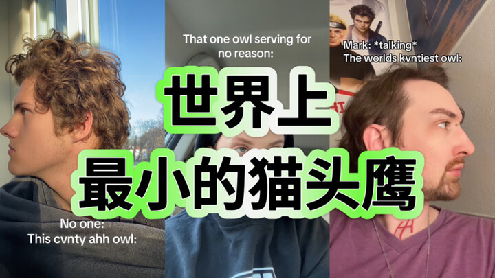 ابن عمّ Queen Never Cry الأمريكي يظهر على يانغ دوو