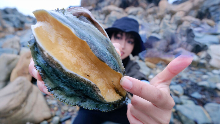 Beachcombing in France, catching and frying palm-sized abalones