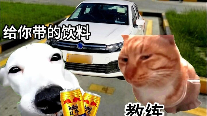 Khi học lái xe ở các độ tuổi khác nhau