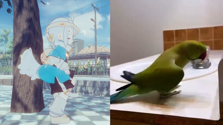 When a dancing bird puts on a VR headset and motion capture gear, it’s like…