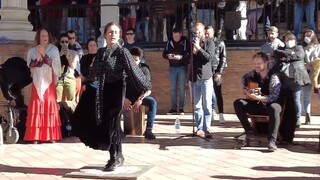 西班牙广场原生态街头弗朗明哥 自带乐团 | 安达卢西亚